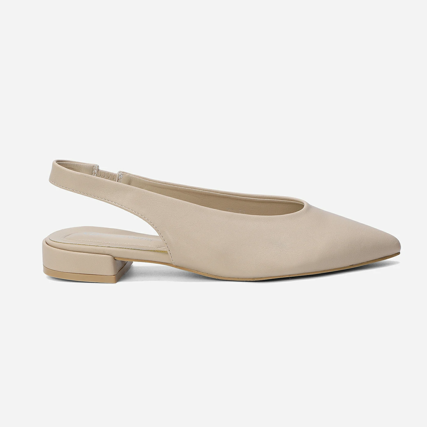 בלרינה בז 36