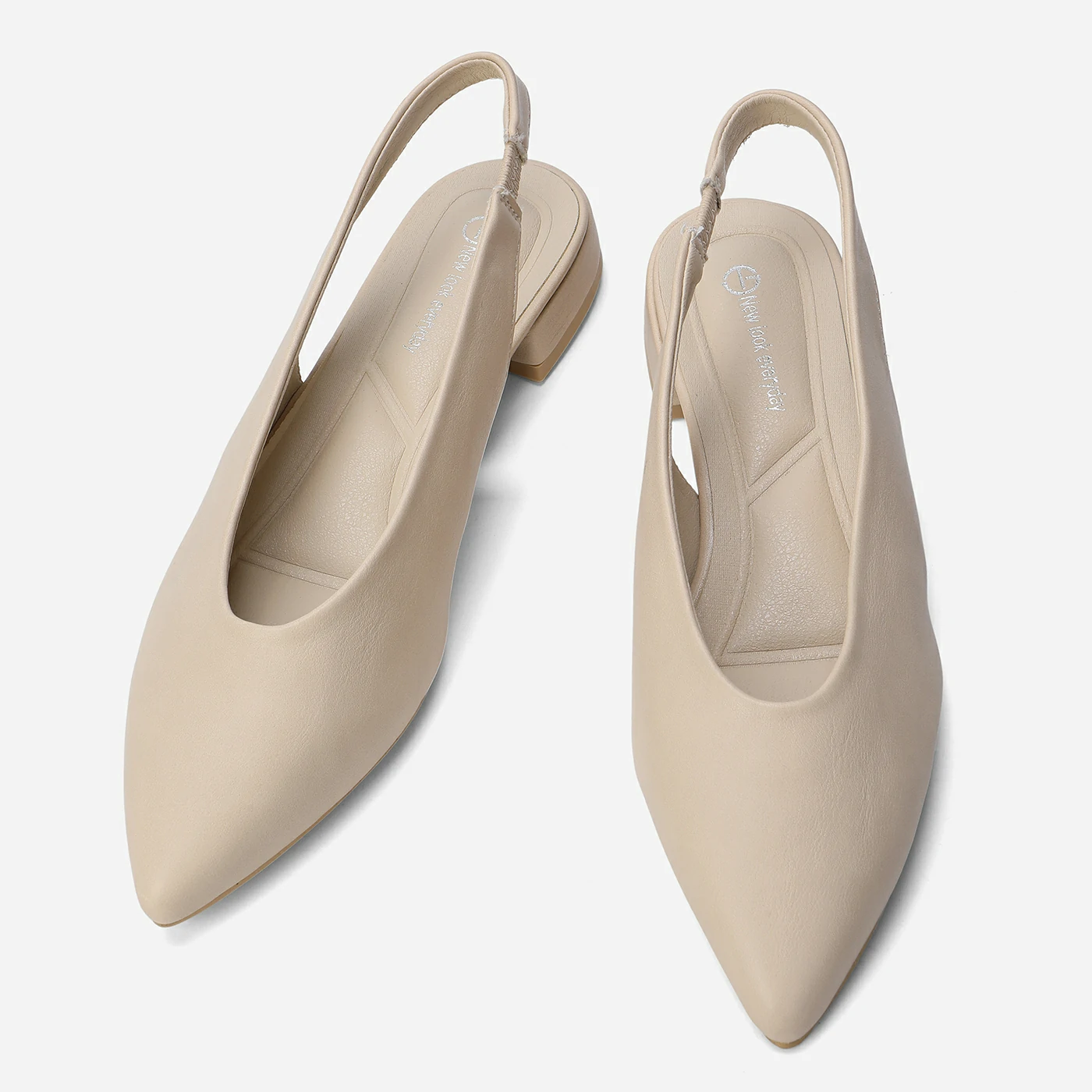 בלרינה בז 36