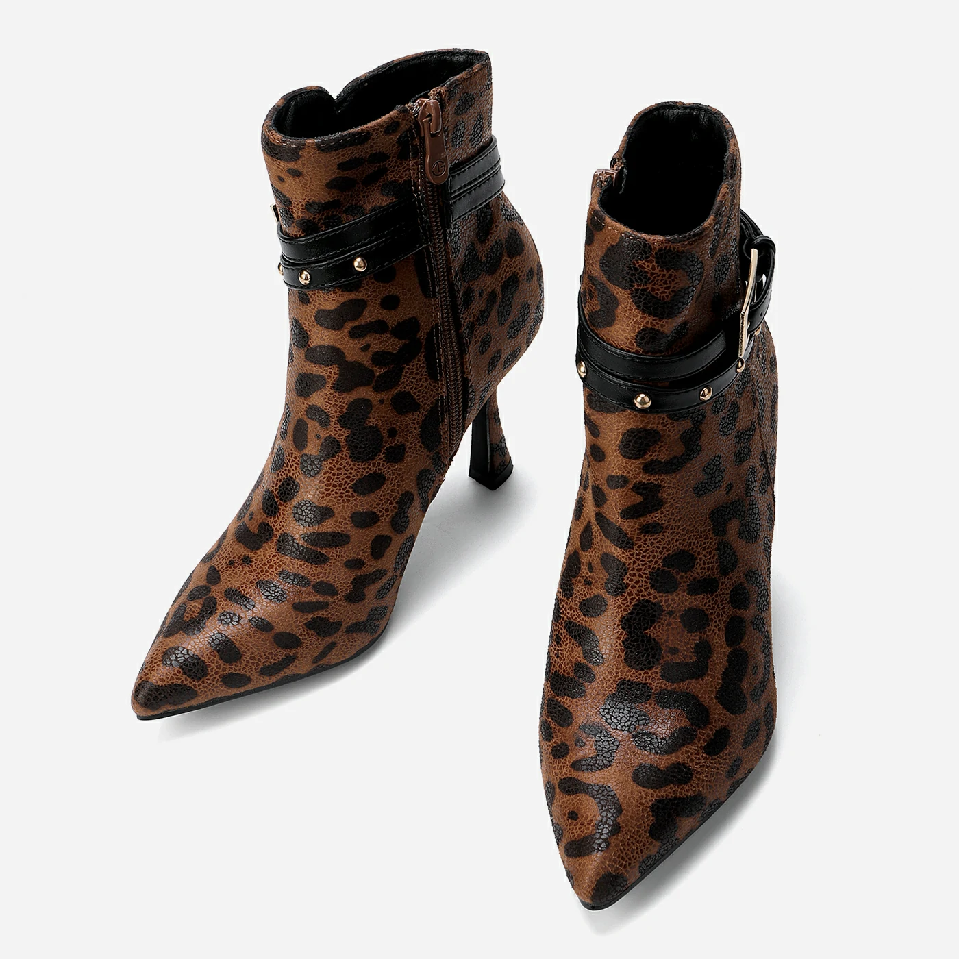 מגפון עקב מנומר 37