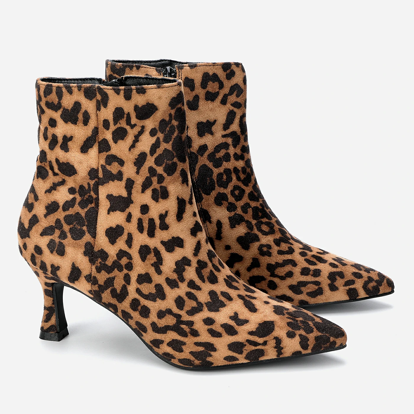 מגפון עקב מנומר 41