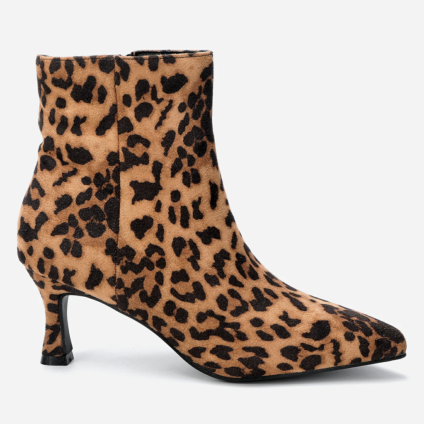 מגפון עקב מנומר 41