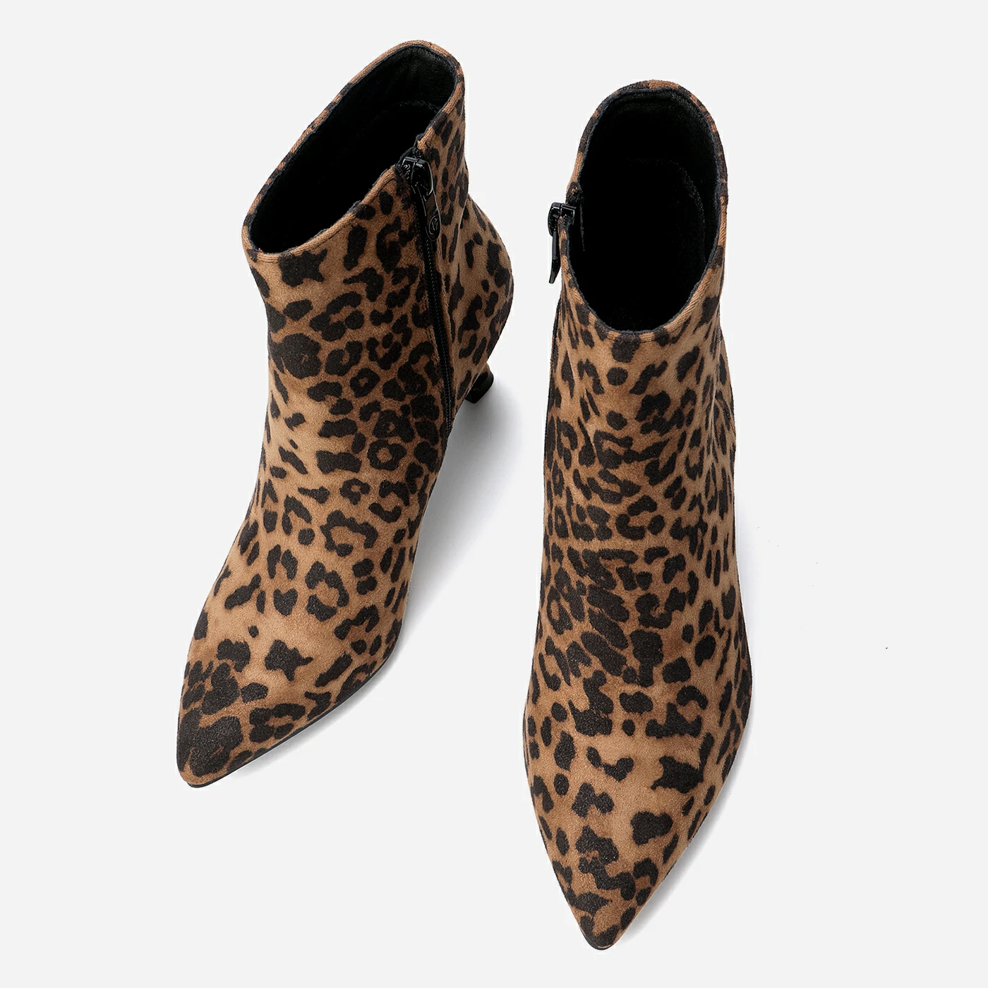 מגפון עקב מנומר 41