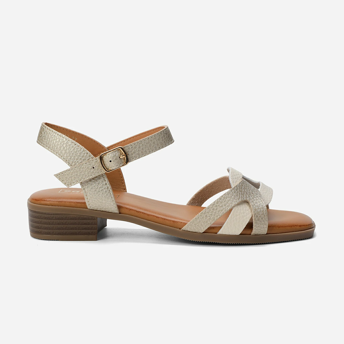 נוחות זהב 37