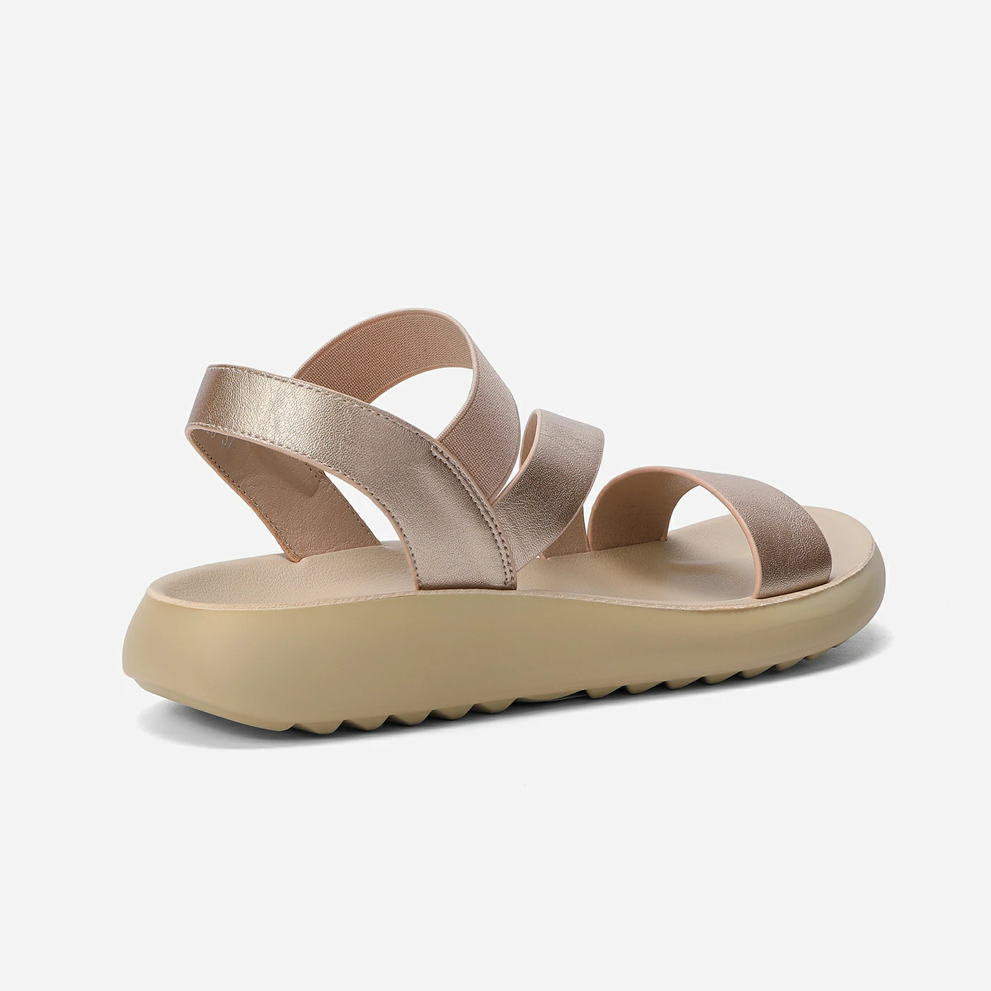 נוחות רוזגולד 41