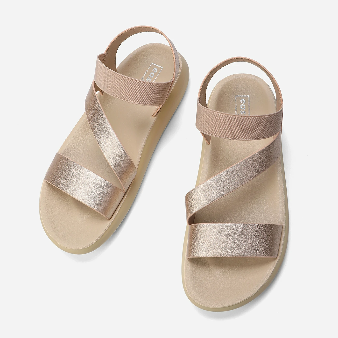 נוחות רוזגולד 41